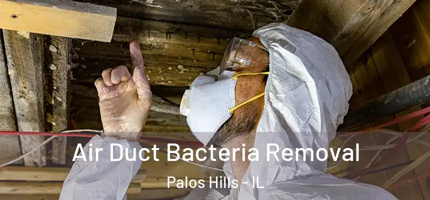  Air Duct Bacteria Removal Palos Hills - IL