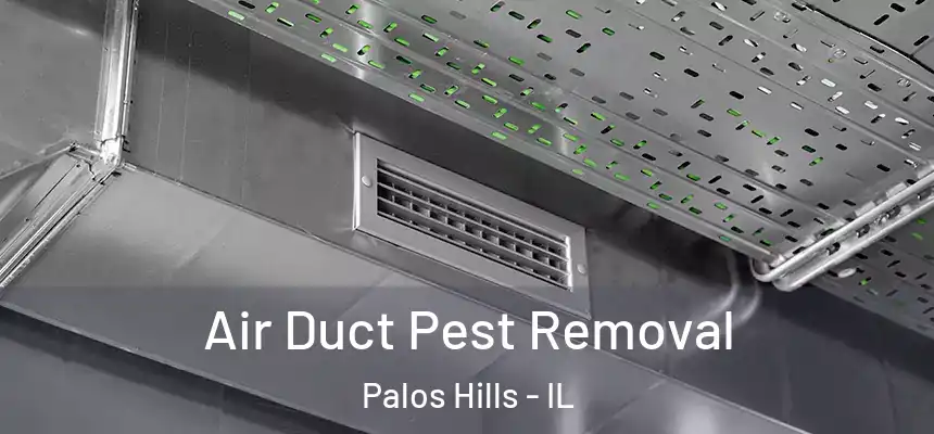 Air Duct Pest Removal Palos Hills - IL
