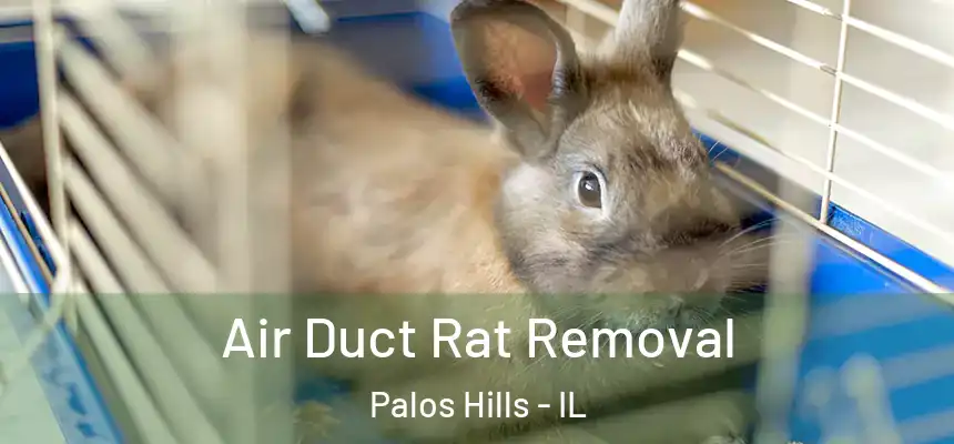 Air Duct Rat Removal Palos Hills - IL