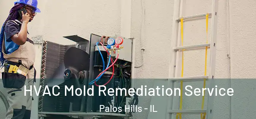 HVAC Mold Remediation Service Palos Hills - IL