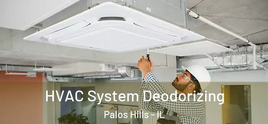 HVAC System Deodorizing Palos Hills - IL