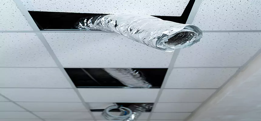 Affordable HVAC Sanitizing After Pest Removal in Palos Hills