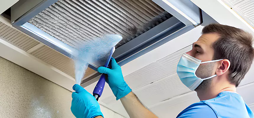 Proactive Dryer Vent & Auxiliary Duct Pollen Cleanup in Palos Hills, IL