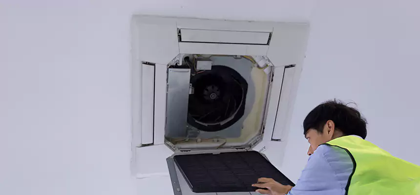 Our Dryer Vent Sanitization Service Services in Palos Hills, IL