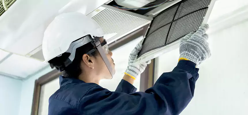 Our Mold & Mildew Removal from Air Ducts Services in Palos Hills, IL