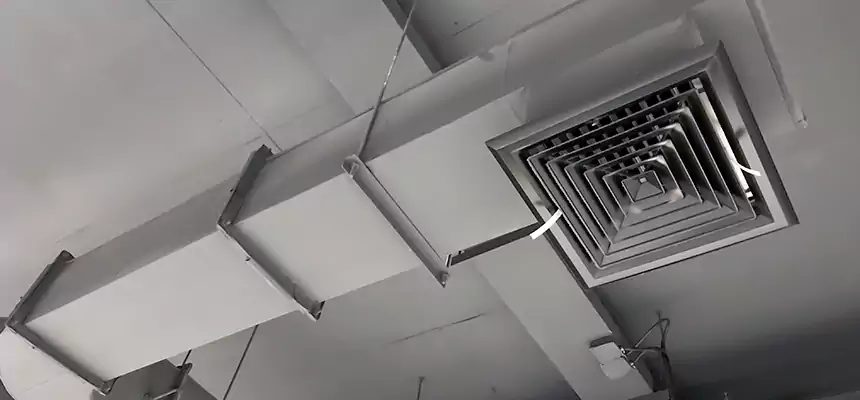 Our Pest Removal From Ducts Services in Palos Hills, IL