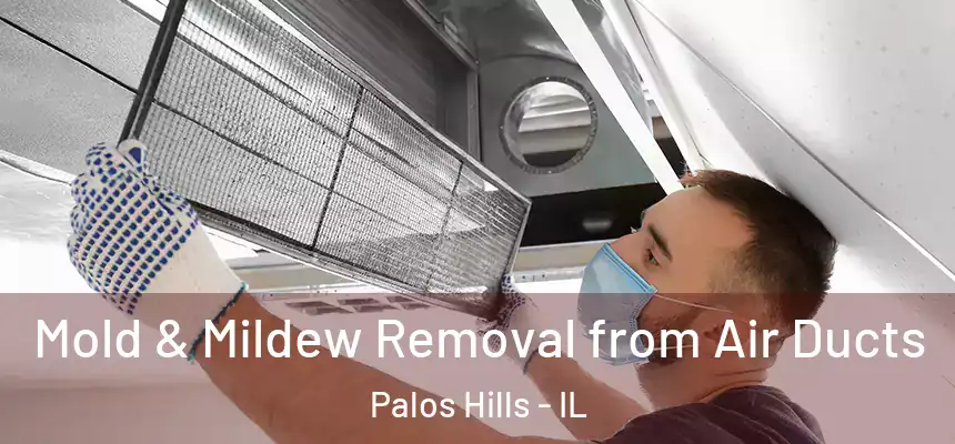 Mold & Mildew Removal from Air Ducts Palos Hills - IL
