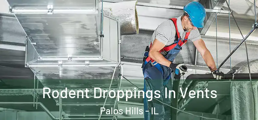 Rodent Droppings In Vents Palos Hills - IL