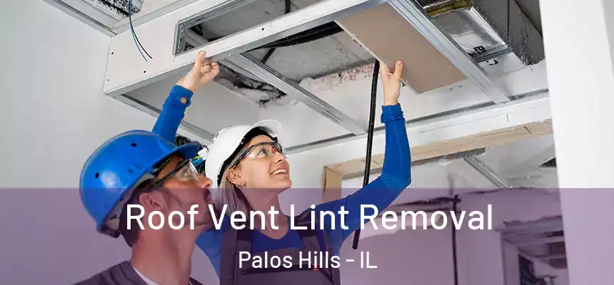 Roof Vent Lint Removal Palos Hills - IL