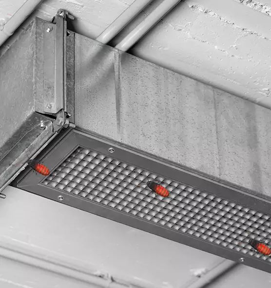 About Air Duct Cockroach Removal in Palos Hills, IL