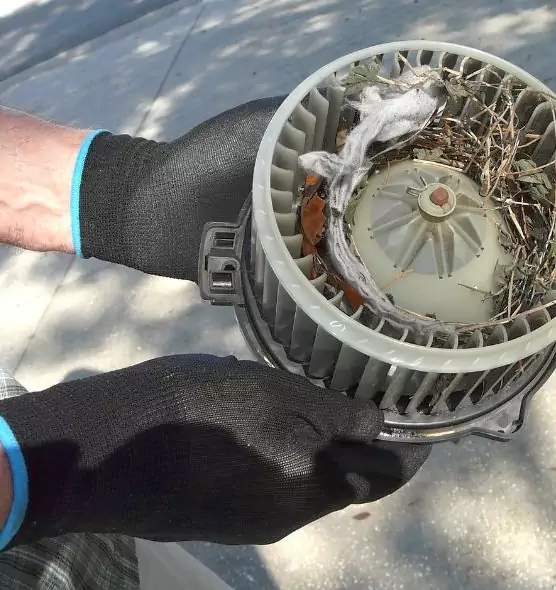 About Air Duct Rat Removal in Palos Hills, IL