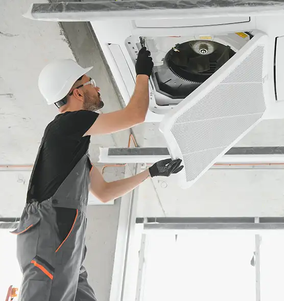 About Air Duct Rodent Removal in Palos Hills, IL