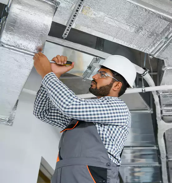 Welcome to Mold & Mildew Removal from Air Ducts Palos Hills, IL