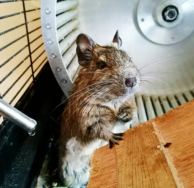 Why Homeowners & Businesses Trust Us Palos Hills, IL?