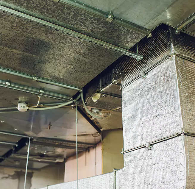 Why Homeowners & Businesses Trust Us in Palos Hills, IL?